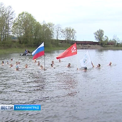 «Янтарные моржи» в честь Дня Победы переплыли озеро Шенфлиз
