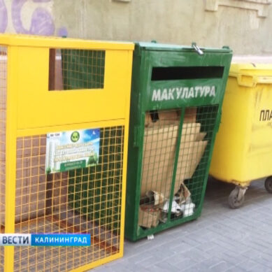 В Калининграде могут появиться контейнеры для раздельного сбора мусора