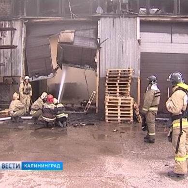 Пожару на заводе в Прегольском присвоен высший ранг сложности