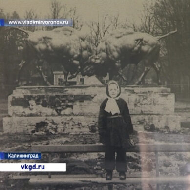 Открылась экспозиция «Калининград 1946-1966»
