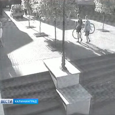 В Калининграде в день похищается 2-3 велосипеда