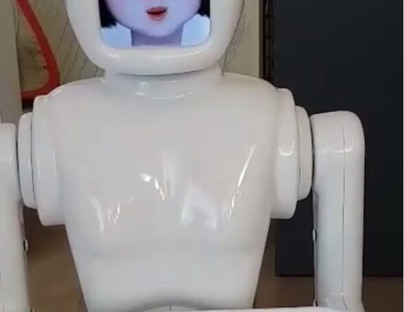 Посетителей чебуречной в Талпаках будет обслуживать робот-официантка