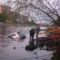 В Калининграде внедорожник оказался в реке