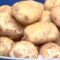 В картофеле из Македонии нашли  моль