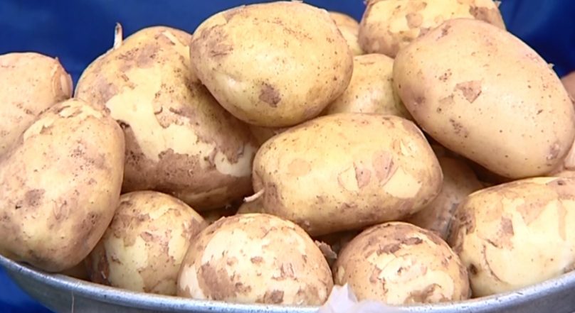 В картофеле из Македонии нашли  моль