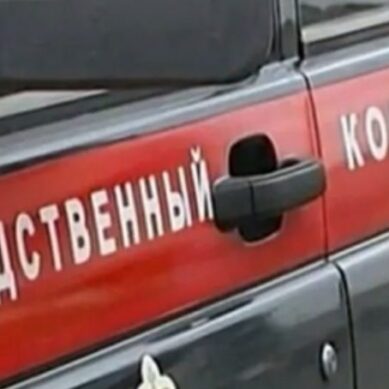 В Калининграде охранника стройки убило доской