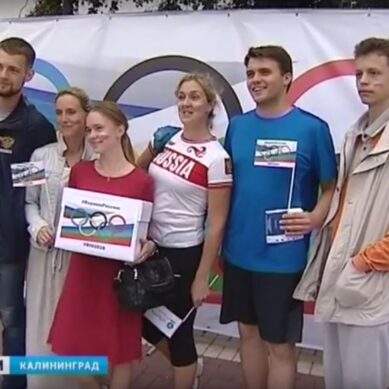 В Калининграде отметят Всероссийский олимпийский день
