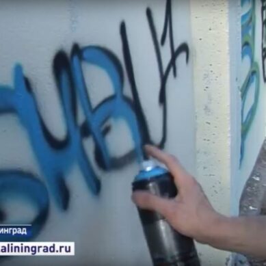 Калининградские энергетики начинают борьбу с уличными художниками