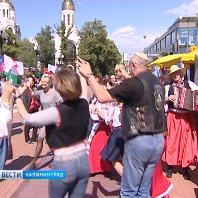День России в Калининграде отметили массовыми гуляниями
