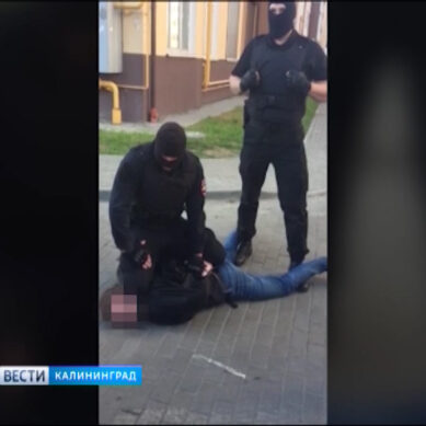 Задержание банды наркоторговцев в Калининграде. Подробности