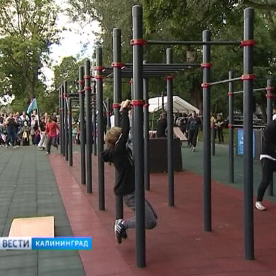 В Калининграде открыли площадку для занятий воркаутом