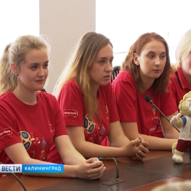 Калининградские волонтеры примут участие в организации Кубка Конфедераций FIFA-2017