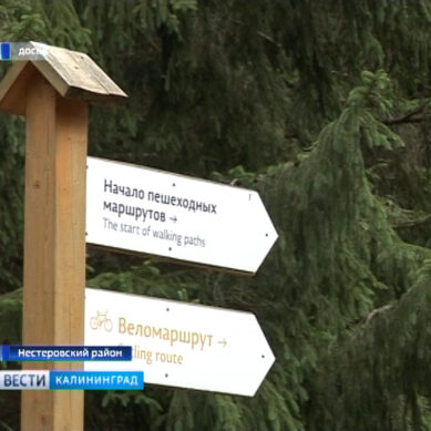 Эксперты оценили туристический потенциал природного парка «Виштынецкий»