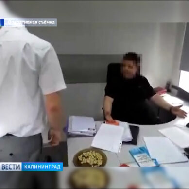 Полиция задержала за взятку сотрудника Ростехнадзора