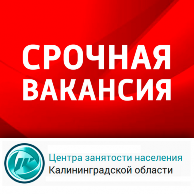 Новые срочные вакансии Центра занятости Калининградской области