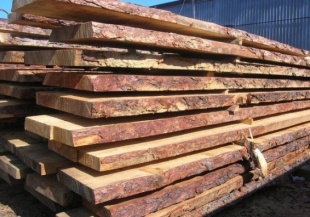 В Белоруссию вернули почти 27 тонн лесоматериалов