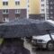 Штормовой ветер в Калининграде повалил 16 деревьев