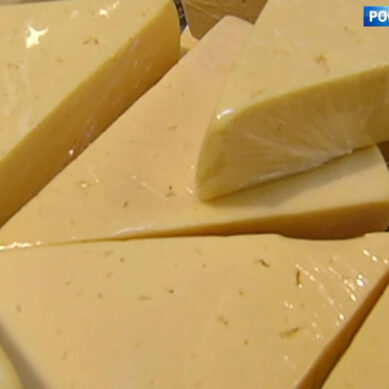 В России не нашли качественного «Российского» сыра