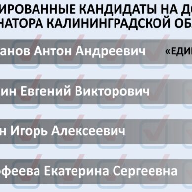 Регистрация кандидатов на должность губернатора Калининградской области закончена