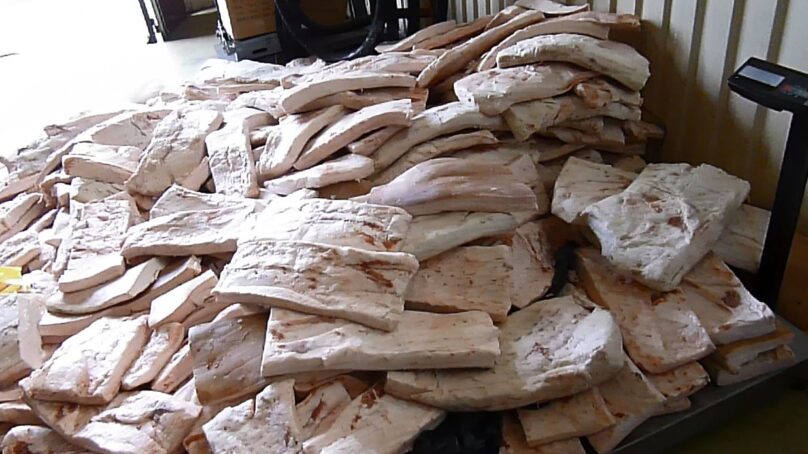 Калининградские таможенники нашли в «Мерседесе» полторы тонны свиного сала