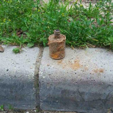 Житель Советска нашёл в саду гранату времён войны