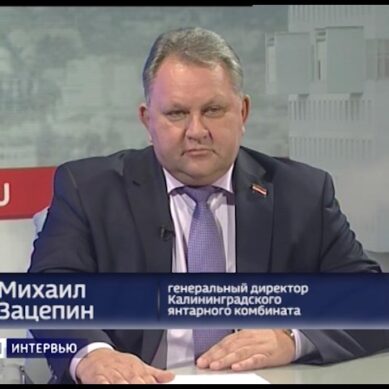 Михаил Зацепин: « За 3 года прибыль Калининградского янтарного комбината выросла в 400 раз»