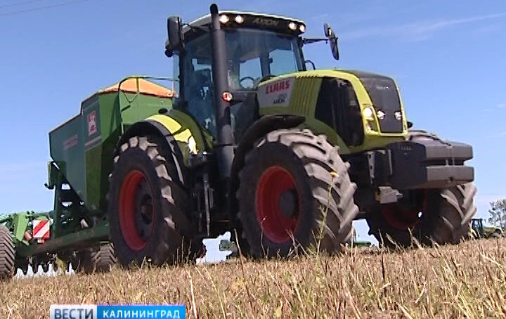 Калининградские аграрии расширяют линейку производимой продукции