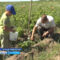 Начинающие фермеры из Славска получили гранты на развитие