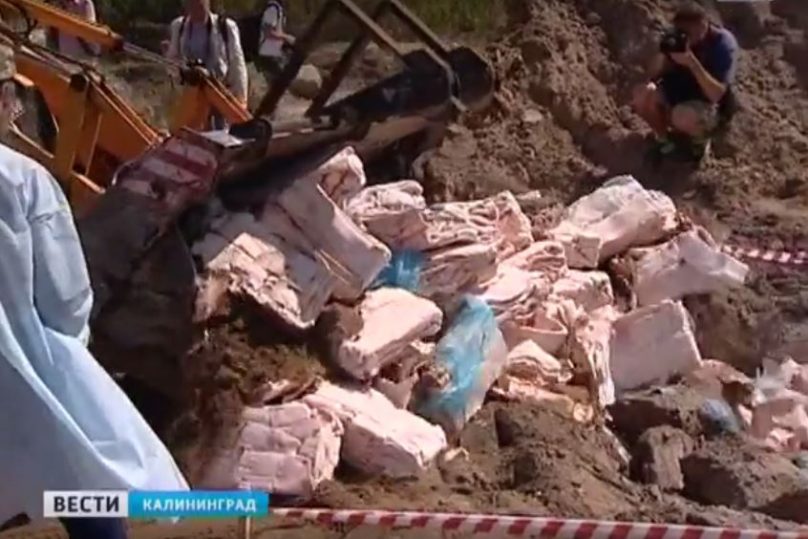 За 2 года в России уничтожили более 16 тонн санкционной продукции