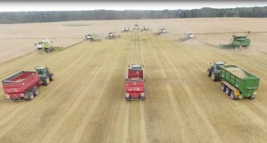 В Калининградской области собрали первый урожай зерновых