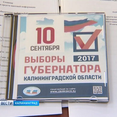 Проголосовать на выборах 10 сентября можно будет по месту фактического нахождения