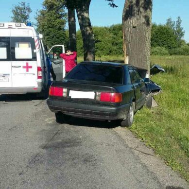 В аварии на трассе Калининград — Полесск пострадали 4 человека