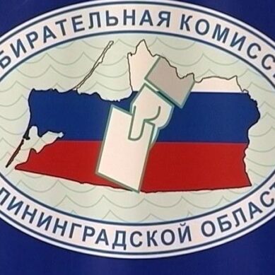 В Калининградской области началось досрочное голосование на выборах в Госдуму