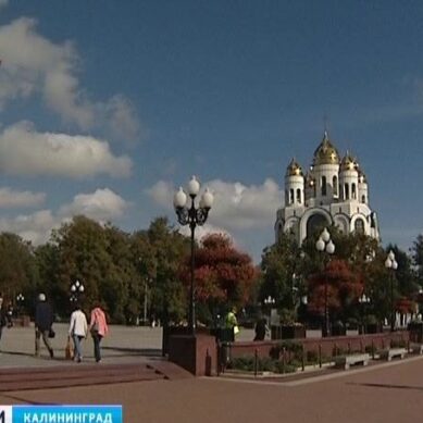 На улицах Калининграда установят новые урны
