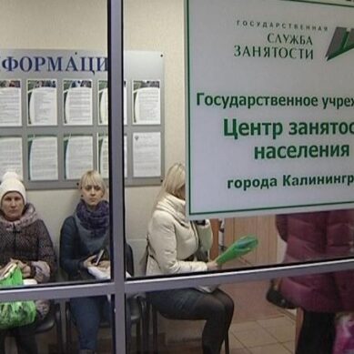 В Калининградской области снизилась безработица