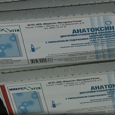 Прививочная кампания профилактики гриппа стартовала в Калининградской области