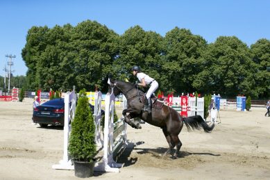 Этап Всемирного турнира по конному спорту пройдет в Черняховске