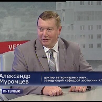 Александр Муромцев: «Профессия ветеринара всегда будет востребована»