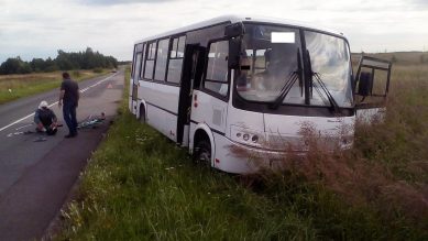 Автобус сбил 88-летнего велосипедиста под Светлогорском