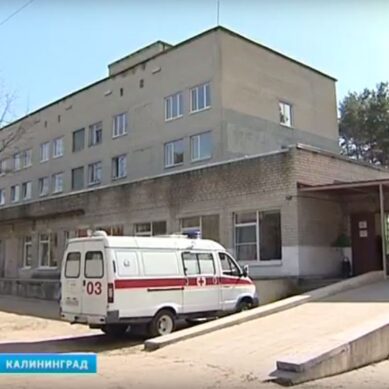 В Калининградской области зафиксирован исторический минимум младенческой смертности