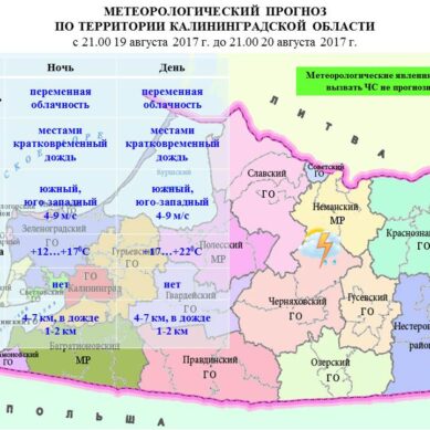 Прогноз погоды в Калининграде на 20 августе