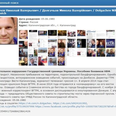 Николай Долгачёв в «чёрном списке» сайта «Миротворец»