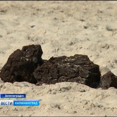 На пляж Зеленоградска выбросило куски торфа