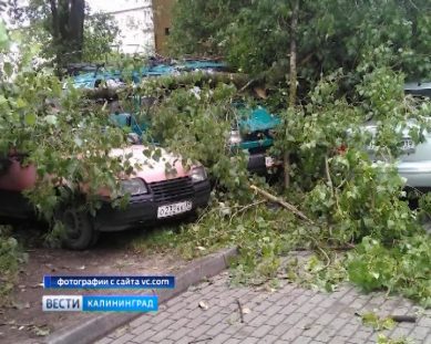 Ночью в Калининграде прошел мощный ураган