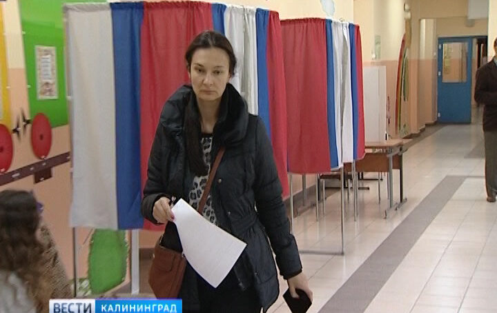 Более миллиона россиян подали заявления о голосовании не по месту регистрации