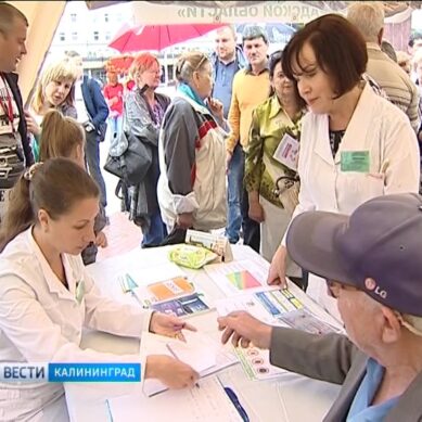 Калининградцы получили консультацию врачей на свежем воздухе