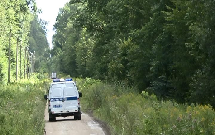 Полицейские задержали подозреваемых в незаконной вырубке деревьев в особо крупном размере