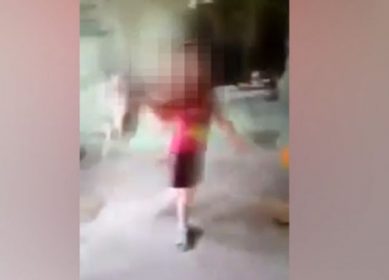 Под Самарой школьницы в прямом эфире убили котенка