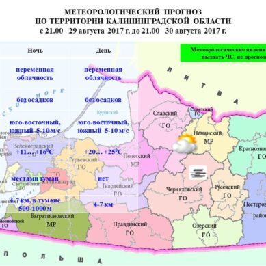 В Калининграде прогнозируется +25