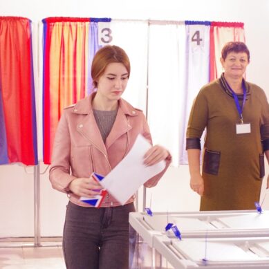 В Мамоново явка на избирательные участки превысила 50%